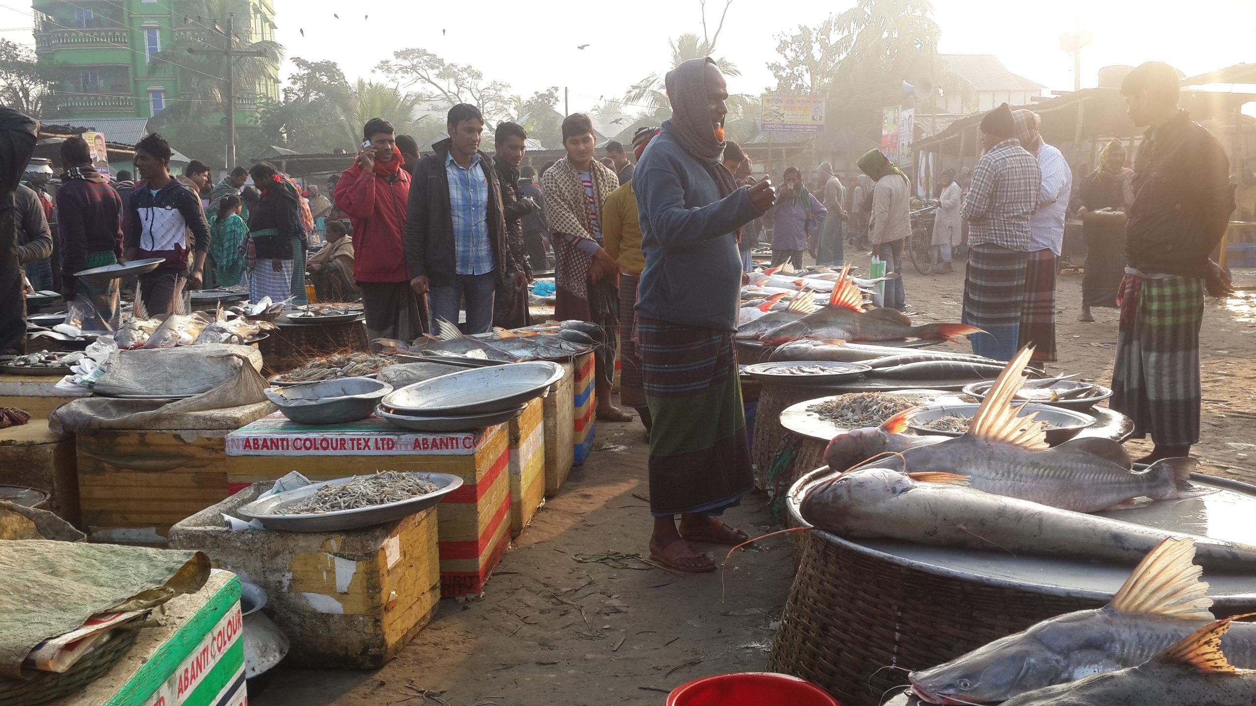 আলোচিত মাছের বাজারে ২ ঘন্টায় বিক্রি কোটি টাকা 1 scaled