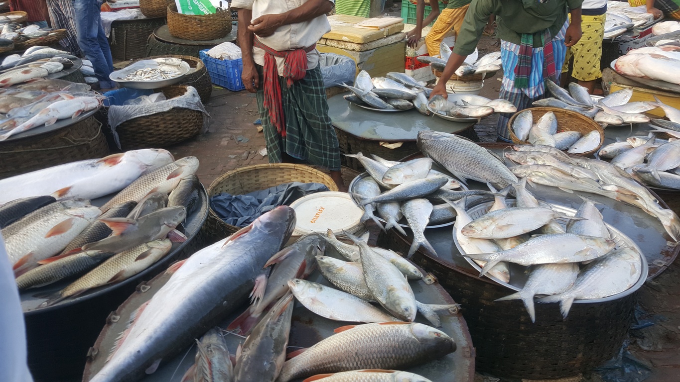 আলোচিত মাছের বাজারে ২ ঘন্টায় বিক্রি কোটি টাকা 5