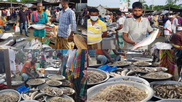 বহু আলোচিত মাছের বাজারে ২ ঘন্টায় বিক্রি কোটি টাকা 2