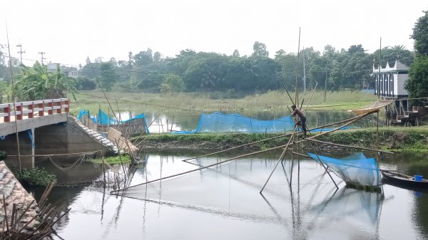 মুন্সীগঞ্জে অবৈধ ভেসাল পেতে দেশীয় মাছের পোনা নিধন।