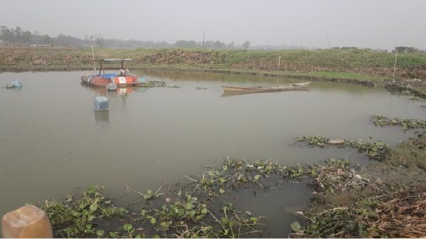 লৌহজংয়ে বংখিরা গ্রামে অবৈধ ড্রেজার দিয়ে বালু উত্তেলন করায় আশপাশের কৃষকের জমি ভেঙ্গে পড়েছে ।