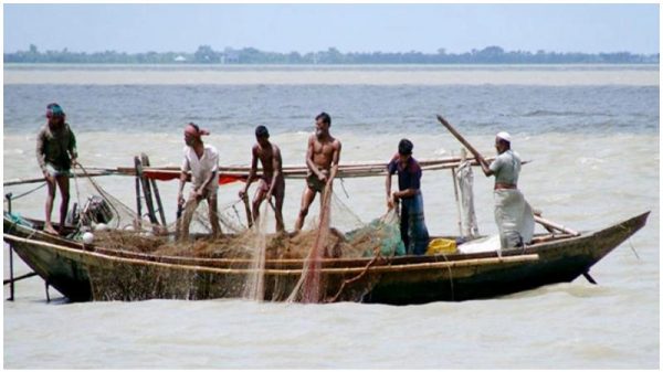 জাটকা আহরণ না করা জেলেদের জন্য ২৬ হাজার মেট্রিক টন চাল বরাদ্দ।