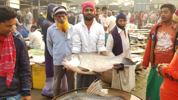 এক কাতলের দাম ৪৬ হাজার টাকা