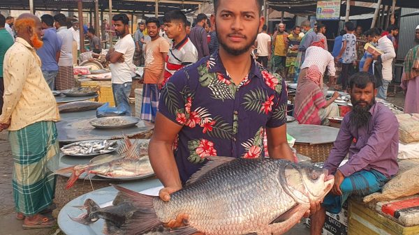 ২৫হাজার ৫শ”টাকায় পদ্মার ১৭ কেজির কাতল!