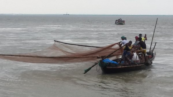 ভরা মৌসুমেও পদ্মায় ইলিশ শূণ্য মাওয়া মুন্সীগঞ্জ