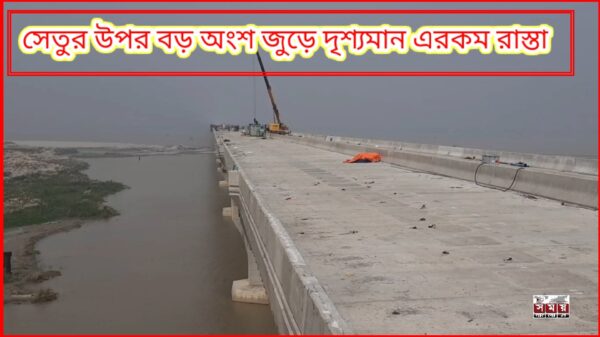 সেতুর ওপরে একটা বড় অংশজুড়ে দৃশ্যমান এরকম রাস্তা।