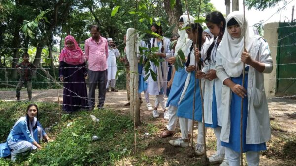 রাজদিয়া আব্দুল জাব্বার পাইলট বালিকা উচ্চ বিদ্যালয়ে বৃক্ষরোপণ কর্মসুচি অনুষ্ঠিত ।