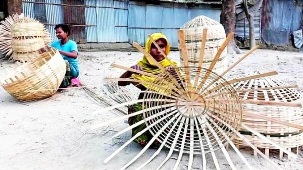 বাঁশ দিয়ে খাঁচা বানিয়ে চলে জোছনা বেগমের সংসার