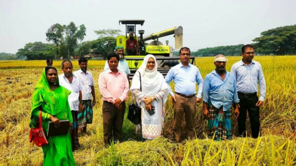 ঝালকাঠিতে কৃষিতে যান্ত্রিকীকরণ পর্যবেক্ষণ