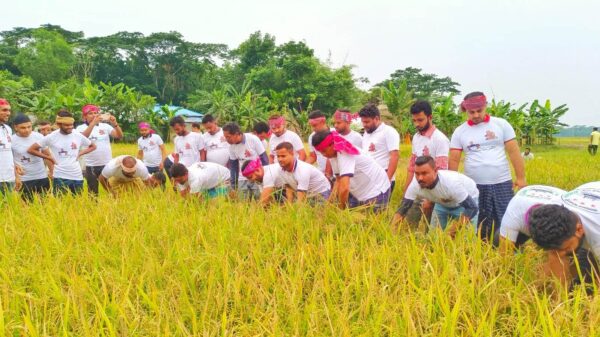 ঋণের জন্য ঘুরছিলেন কৃষক  পাকা ধান কেটে ঘরে তুলে দিল স্বেচ্ছাসেবকলীগ