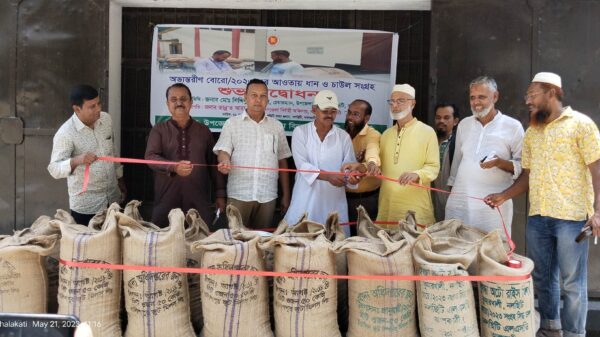 নলছিটিতে সরকারিভাবে ধান ও চাল সংগ্রহ শুরু