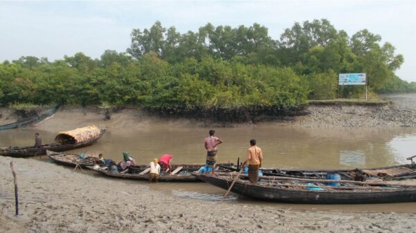 মৎস্য-ও-বন্যপ্রাণীর-প্রজন-বৃদ্ধির-লক্ষে-সাগর-ও-সুন্দরবনে-৩-মাস-১০-দিন-মাছ-ধরা-বন্ধ