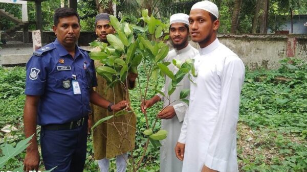 নলছিটিতে ইসলামী ছাত্র আন্দোলন বাংলাদেশ'র বৃক্ষ রোপন কর্মসূচি পালিত