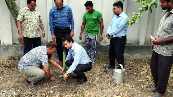 নড়াইলে বজ্রপাত নিরোধে সাড়ে ৪ হাজার গাছ রোপণ করার উদ্যোগ