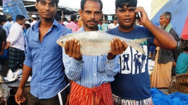 ঘাটের ইলিশ.ছবি রুবেল ইসলাম তাহমিদ 10